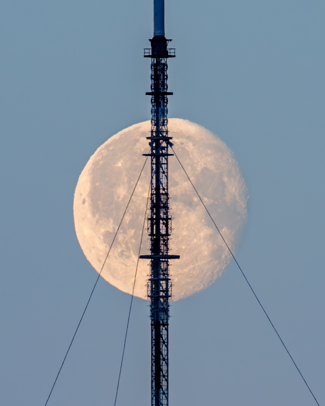20240328 DSC0739 3