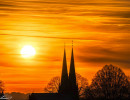 20240120  dsc6543