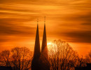 20240120  dsc6666