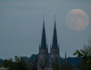 20241016 dsc03525