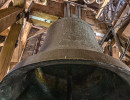 img 6843