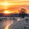 20230404 dsc06574