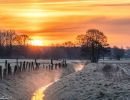 20230404 dsc06574