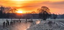 20230404 dsc06574