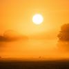 20230915 dsc07424