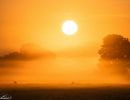 20230915 dsc07424