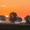 20240806 dsc06790