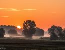 20240806 dsc06790