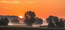 20240806 dsc06790