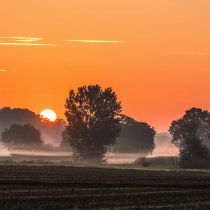 20240806 dsc06790