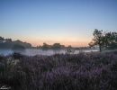 20240810 dsc07202