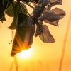 20250502 dsc02200