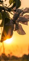 20250502 dsc02200