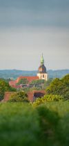 20250503 dsc02820