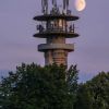 20240815 dsc08235 2