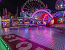 20231023  dsc0498