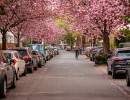 20250414 dsc00561