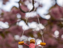 20250414 dsc00579