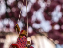 20250414 dsc00585