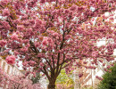 20250414 dsc00591
