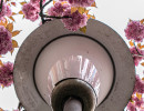 20250414 dsc00622