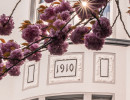 20250414 dsc00632