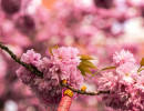 20250414 dsc00644