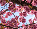 20250414 dsc00652
