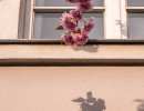 20250414 dsc00660