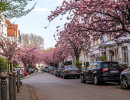 20250414 dsc00685