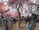 20250414 dsc00692
