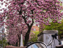 20250414 dsc00703