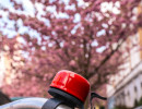 20250414 dsc00705