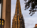 20250526 dsc05393